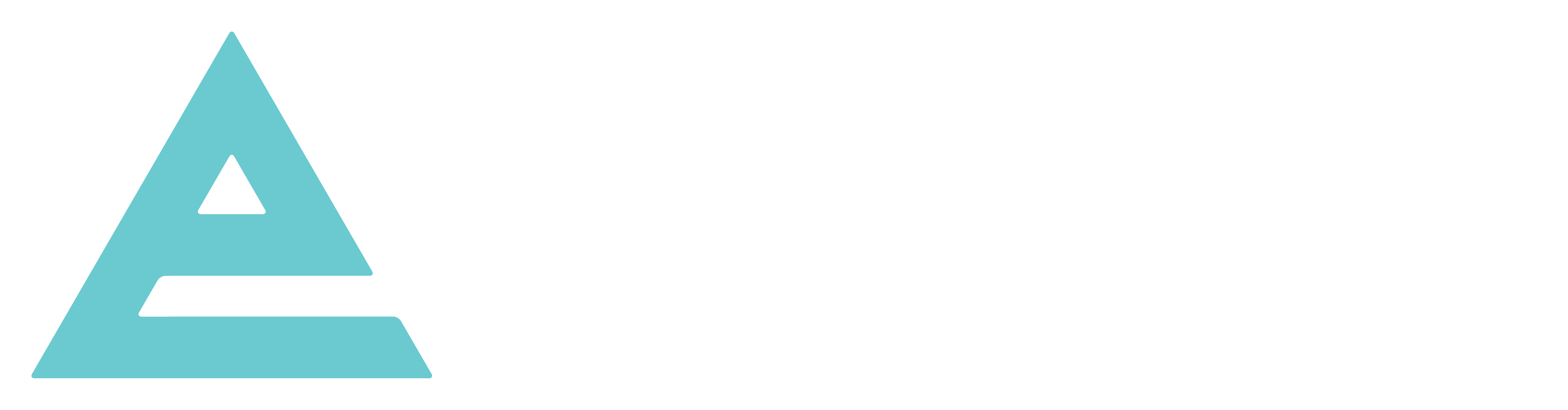 Everest Collective